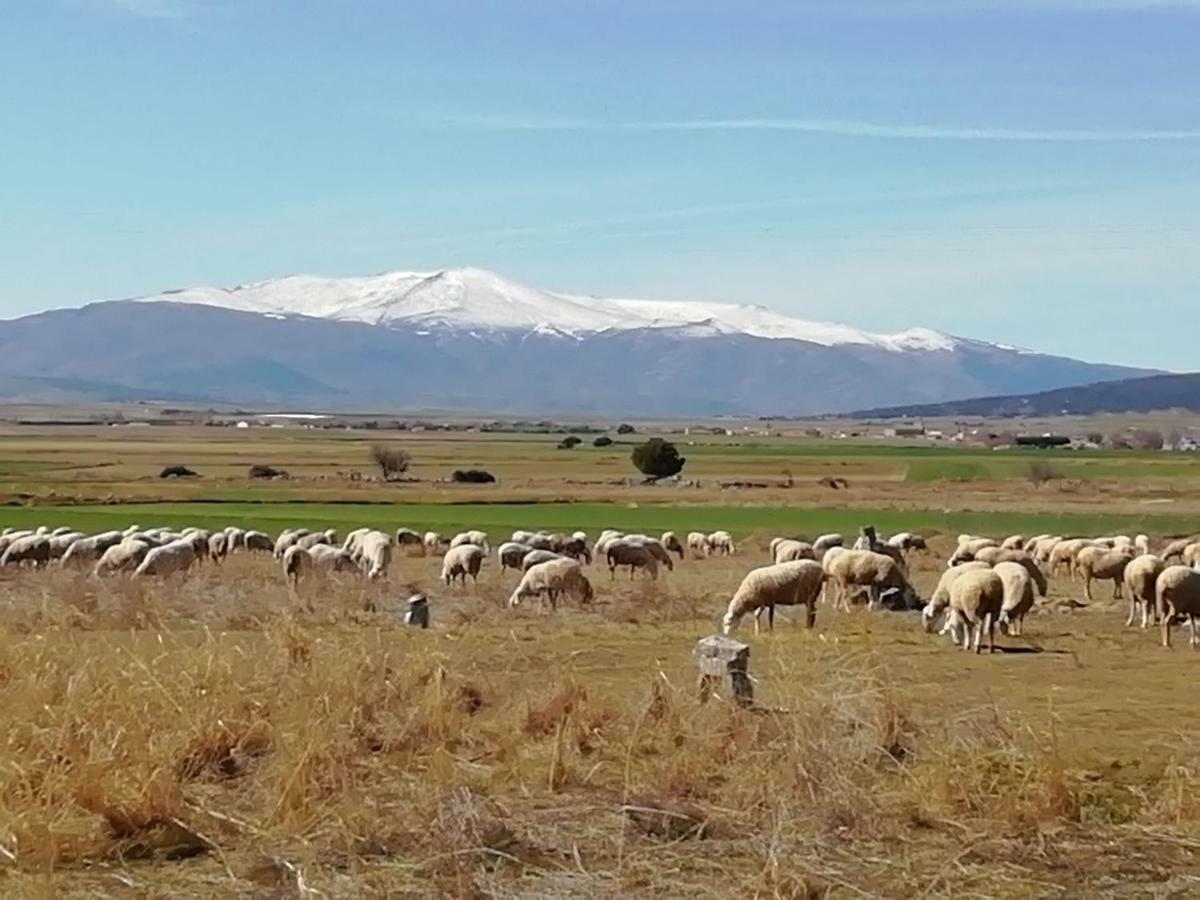 La Casa De Colores Villa Munopepe Eksteriør bilde